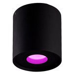 Hoftronic Smart Smart WiFi LED Opbouwspot plafond Ray zwart RGBWW incl. GU10 IP20 kantelbaar