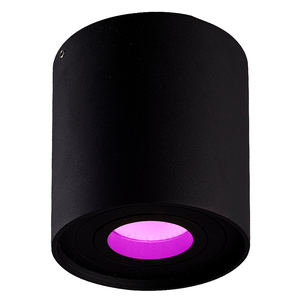 Smart Opbouwspot Ray Smart Opbouwspot Ray