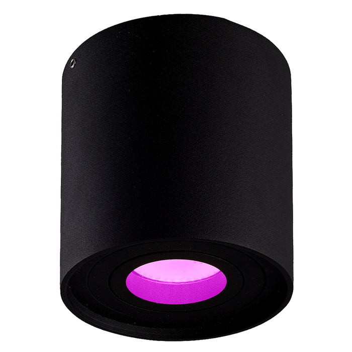 Hoftronic Smart Smart WiFi LED Opbouwspot plafond Ray zwart RGBWW incl. GU10 IP20 kantelbaar