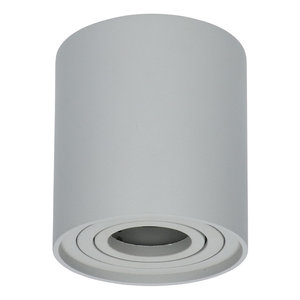 LED Plafondspot Ray Grijs LED Plafondspot Ray Grijs