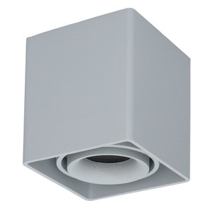 LED Plafondspot Esto Grijs LED Plafondspot Esto Grijs