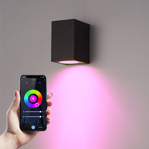 LED Smart wandlamp Marion Zwart LED Smart wandlamp Marion Zwart