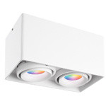 Smart LED Mounted lighting