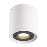 HOFTRONIC Dimmable LED surface mounted ceiling spotlight Ray White with grey bezel