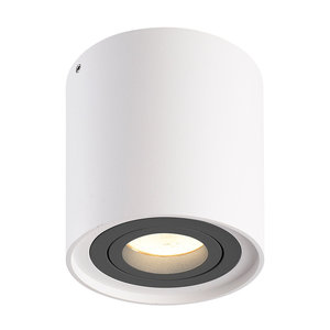 LED Ceiling Spot Ray White/Grey LED Ceiling Spot Ray White/Grey