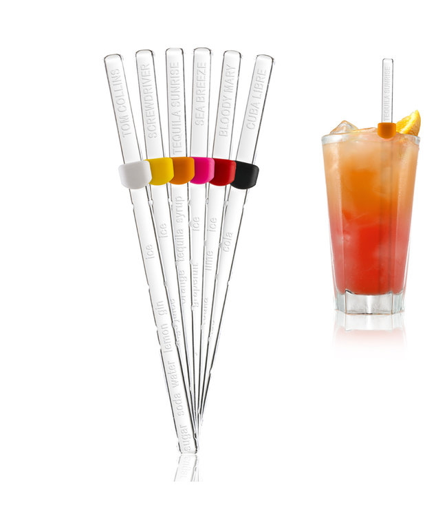 Vacuvin Recipe Sticks