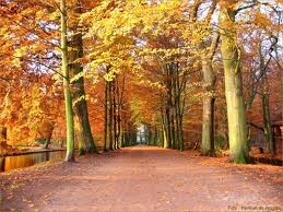 De smaken van herfst