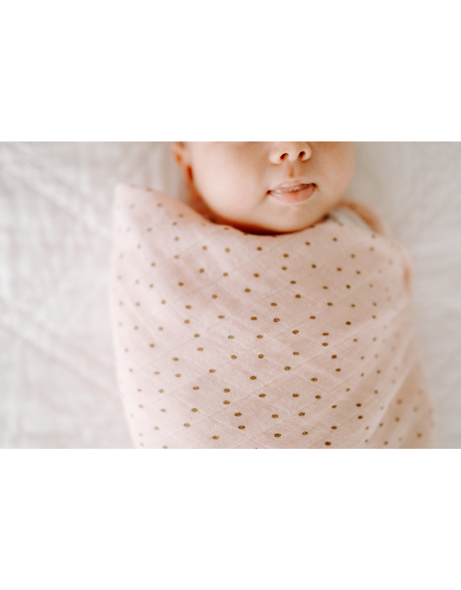 aden + anais 4 pak swaddles Lovely reverie Nybble