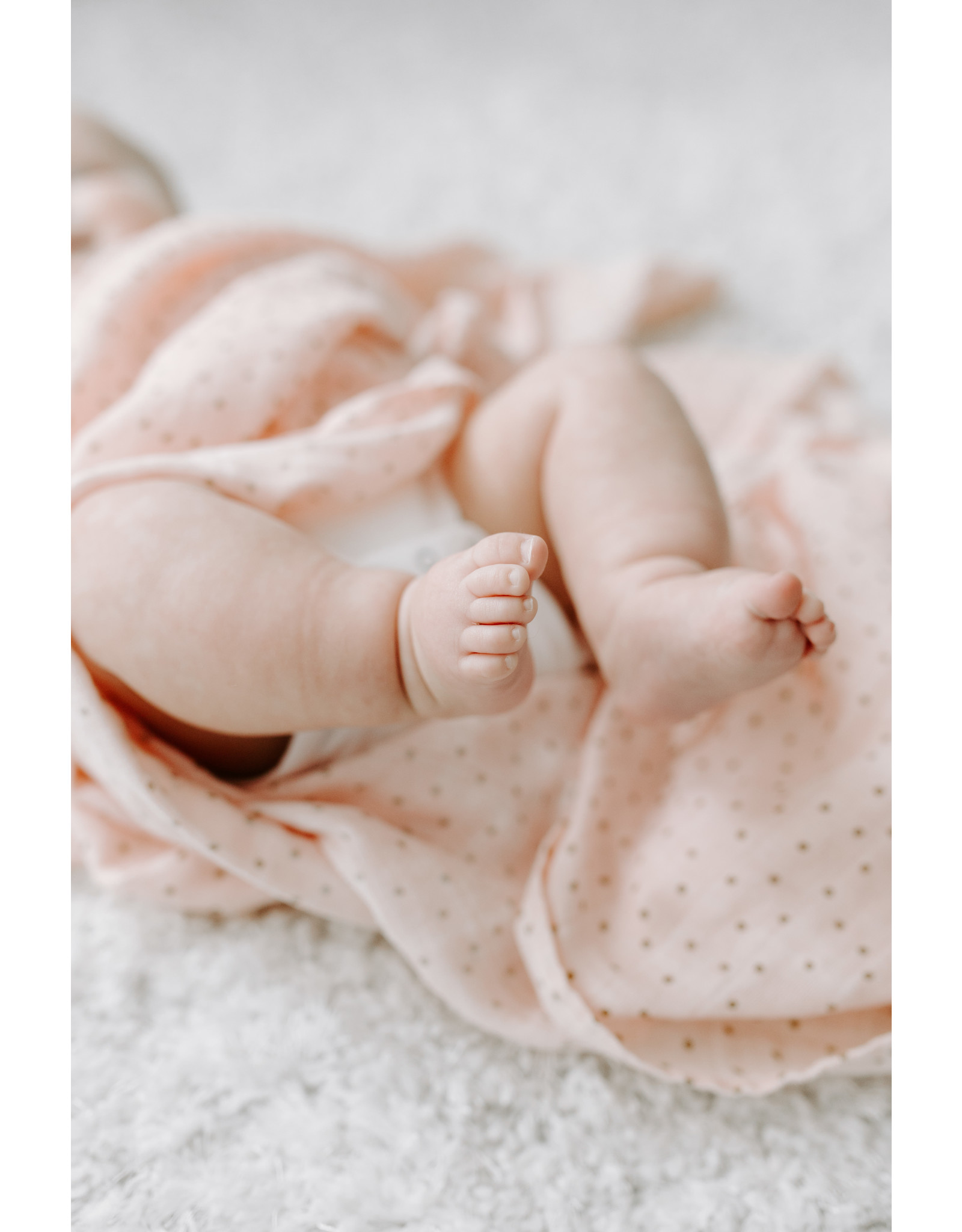 aden + anais 4 pak swaddles Lovely reverie Nybble