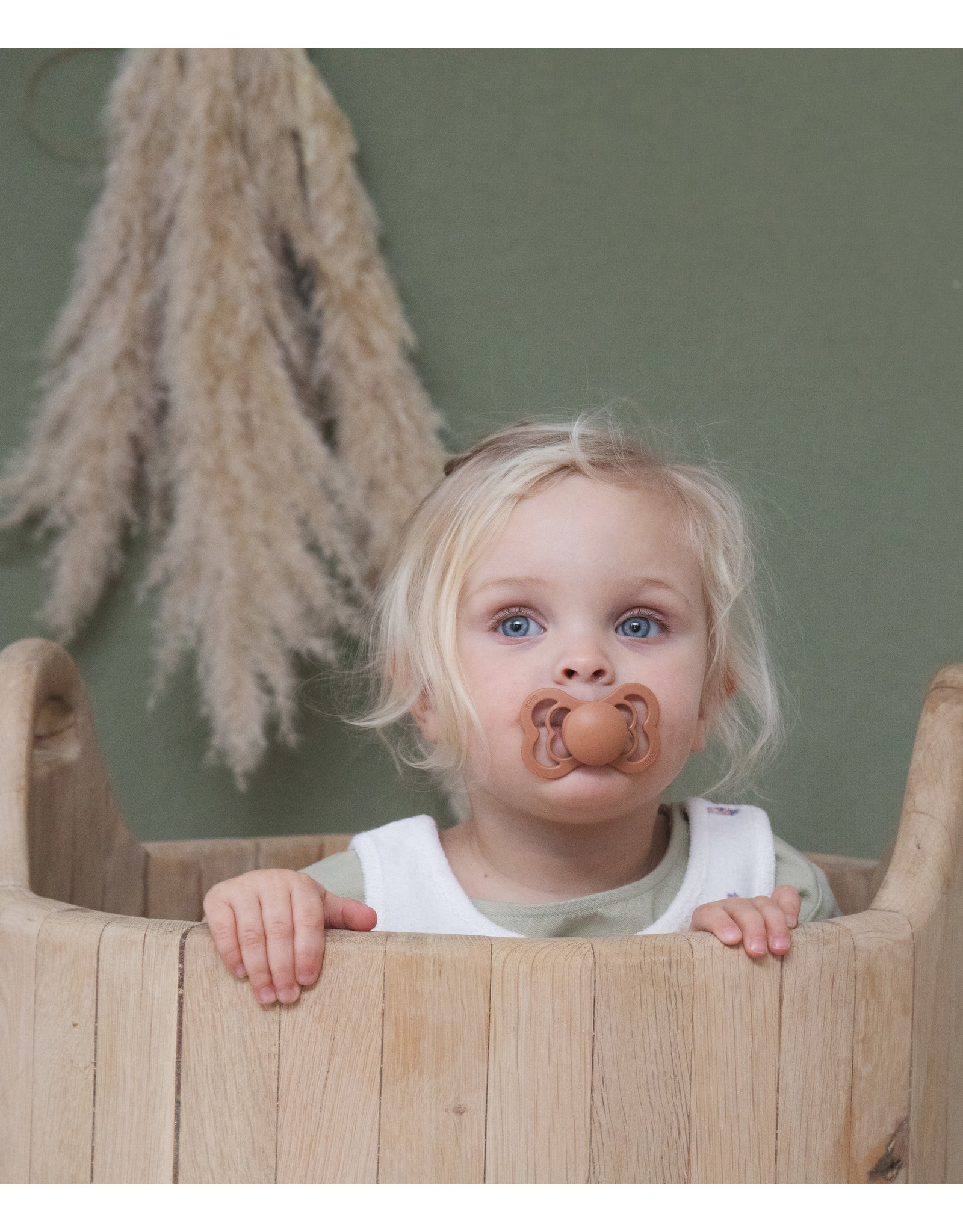 BIBS Colour Ivory Nybble