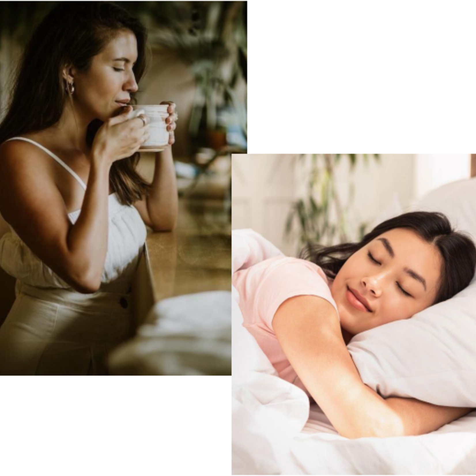 LPG® Organic Stress-Sleep Herbal Tea (28 teabags) Limited Edition