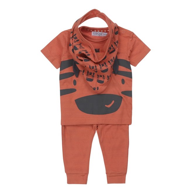 Dirkje jongens baby set T-shirt en broekje roest zebra