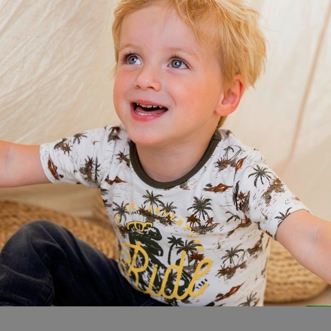 Dirkje Jungen T-shirt weiß Palme