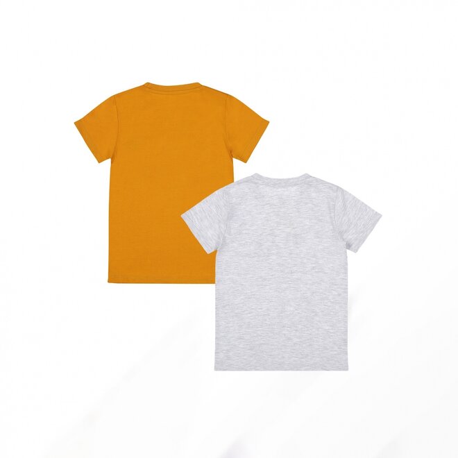 Dirkje boys T-shirt 2-pack ochre yellow grey mixed