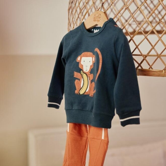 Dirkje Jungen Baby Set Pullover Jogginghose petrol monkey