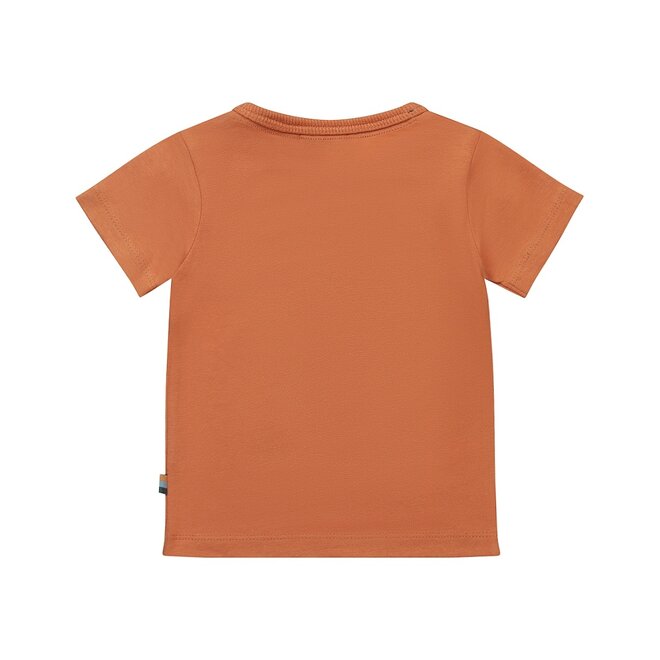 Dirkje Jungen T-shirt dunkelorange Hai