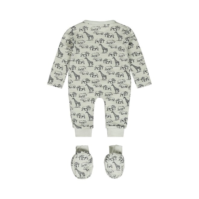 Dirkje boys baby set box suit slippers light green animals