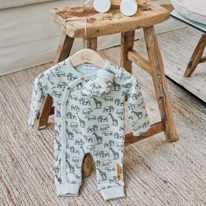 Dirkje Jungen baby set box suit hausschuhe hellgrün tiere