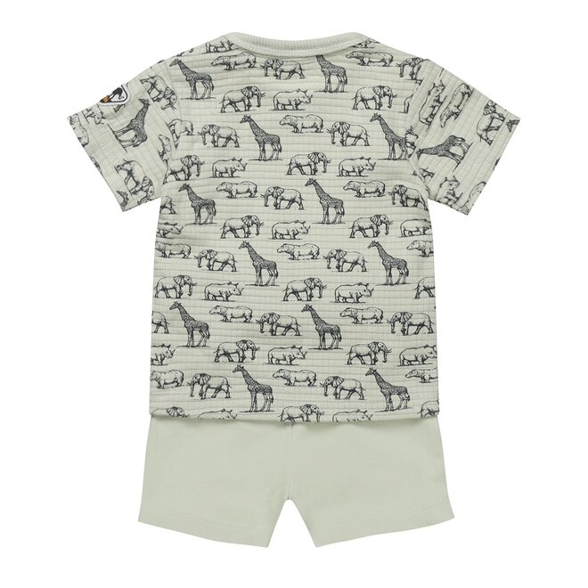 Dirkje boys baby set T-shirt shorts light green animals