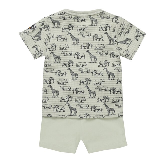 Dirkje Jungen Baby Set T-shirt Shorts hellgrün Tiere