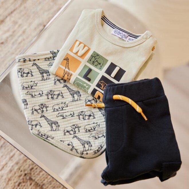 Dirkje jongens baby set T-shirt broek sjaal lichtgroen