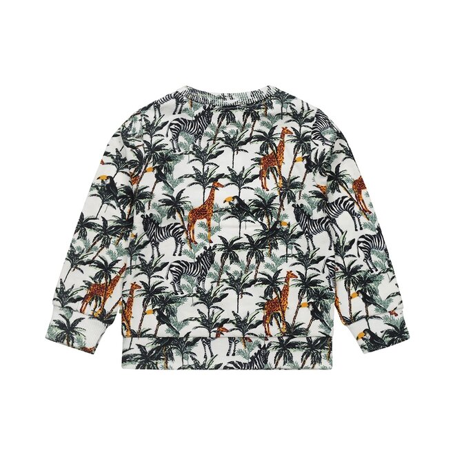 Dirkje boys jumper multi colour tropical