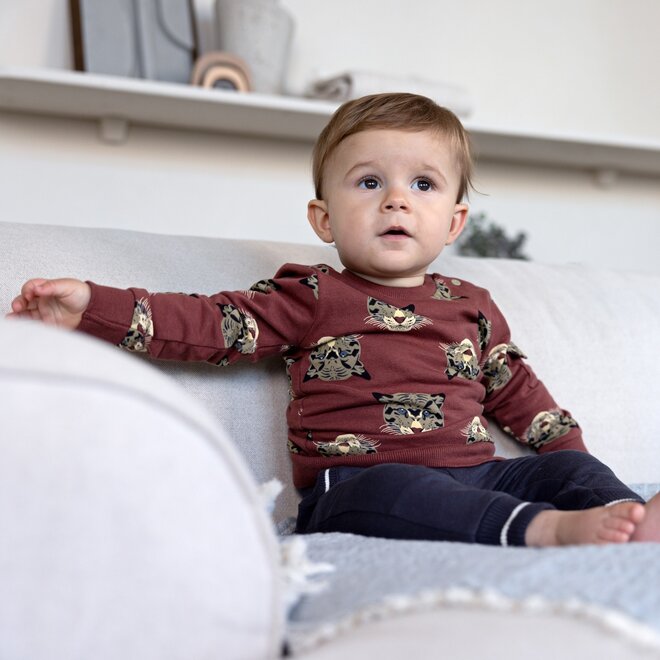 Dirkje boys jumper soft red tiger print