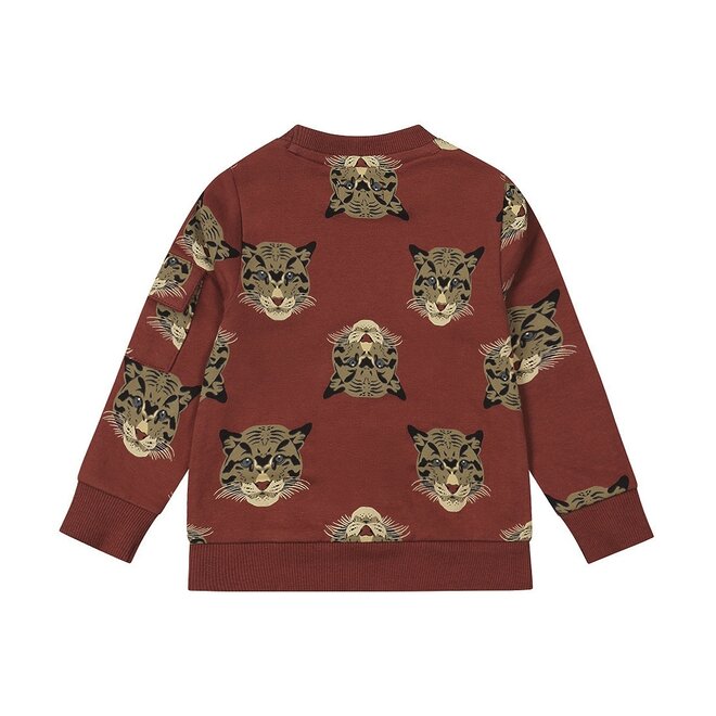 Dirkje boys jumper soft red tiger print