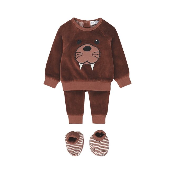 Dirkje boys set jumper trousers slippers brown walrus