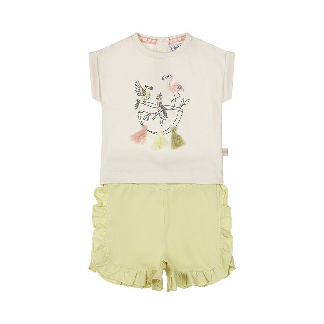 Dirkje meisjes baby set T-shirt shorts zachtgroen vogeltjes