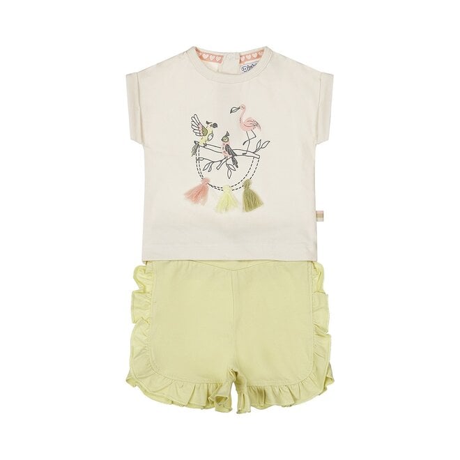 Dirkje Mädchen Baby Set T-shirt Shorts weich grün Vögel