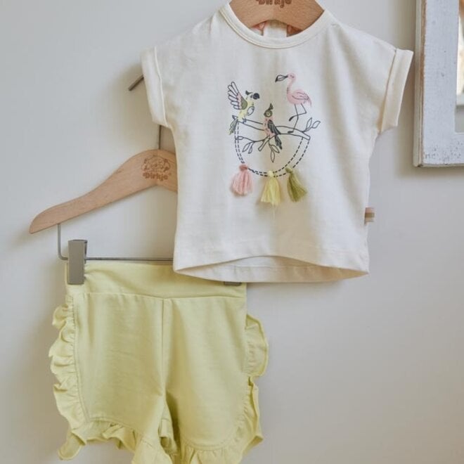 Dirkje Mädchen Baby Set T-shirt Shorts weich grün Vögel