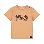 Dirkje Jungen T-shirt orange dino 100% Baumwolle