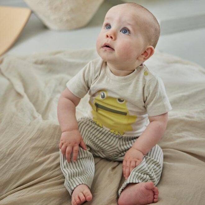 Dirkje boys T-shirt off white mélange frog