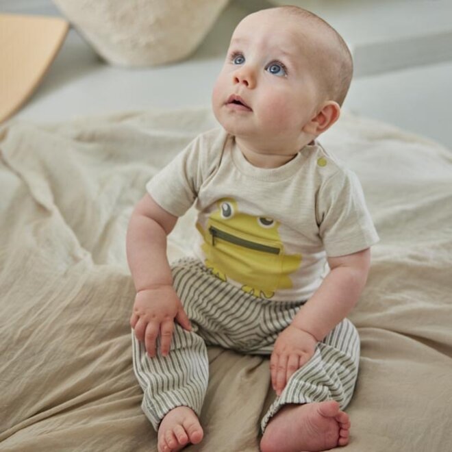 Dirkje jongens T-shirt off white gemêleerd kikker