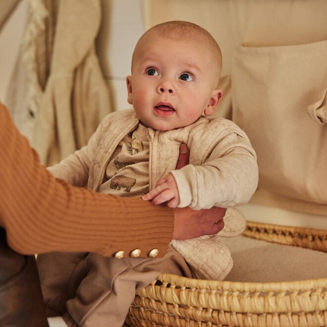 Dirkje boys' set shirt cardigan trousers pebble wild animals