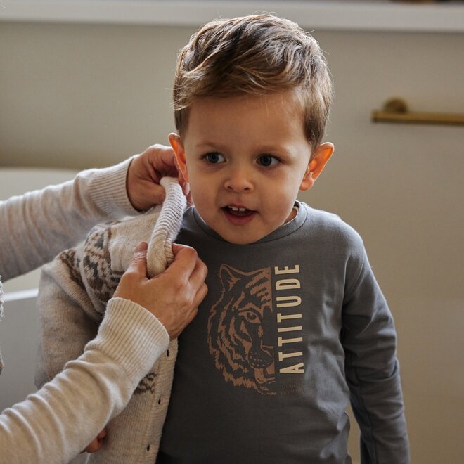 Dirkje boys' long-sleeved shirt grey tiger