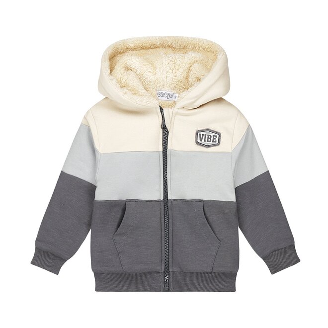 Dirkje boys' outdoor cardigan in pebble with hood teddy print