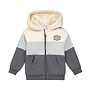Dirkje boys' outdoor cardigan in pebble with hood teddy print