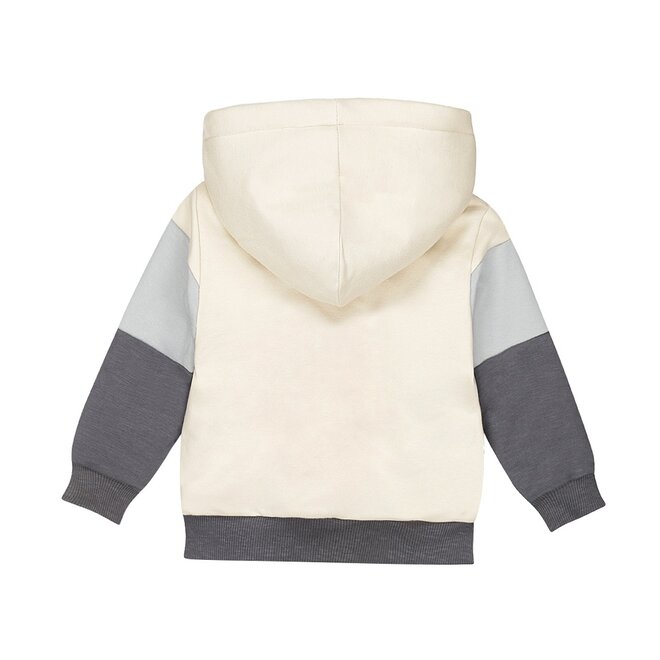 Dirkje boys' outdoor cardigan in pebble with hood teddy print