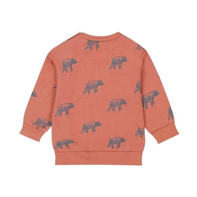 Dirkje boys' sweater rust brown bear 100% cotton