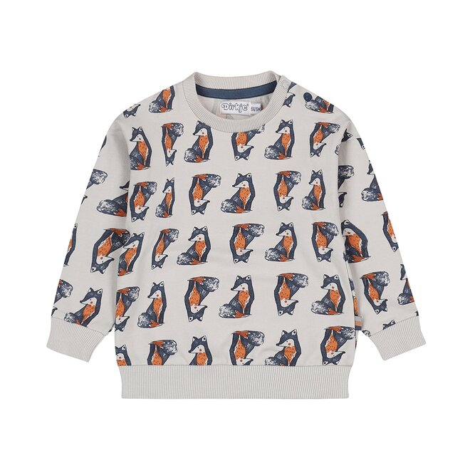 Dirkje Jungen Pullover hellgrau Fuchs