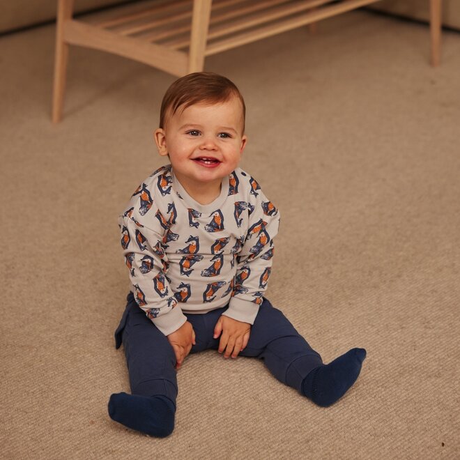 Dirkje Jungen Pullover hellgrau Fuchs