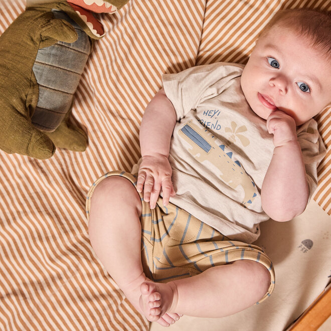 Dirkje Jungen Set Shirt Shorts cremefarben sandblau