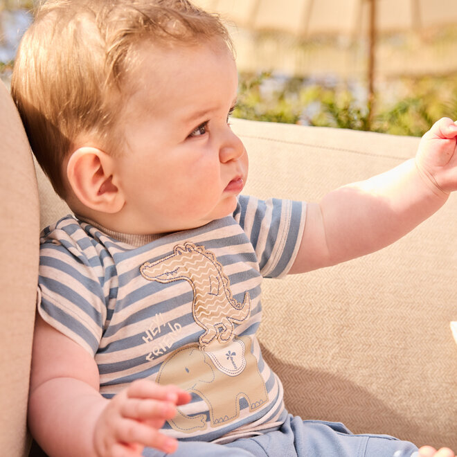 Dirkje boys' T-shirt blue off-white striped animals