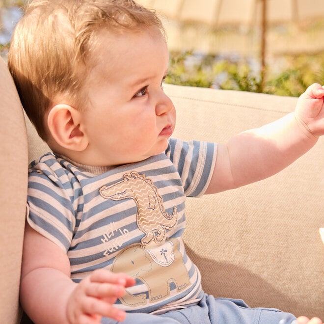 Dirkje jongens T-shirt blauw off white gestreept dieren