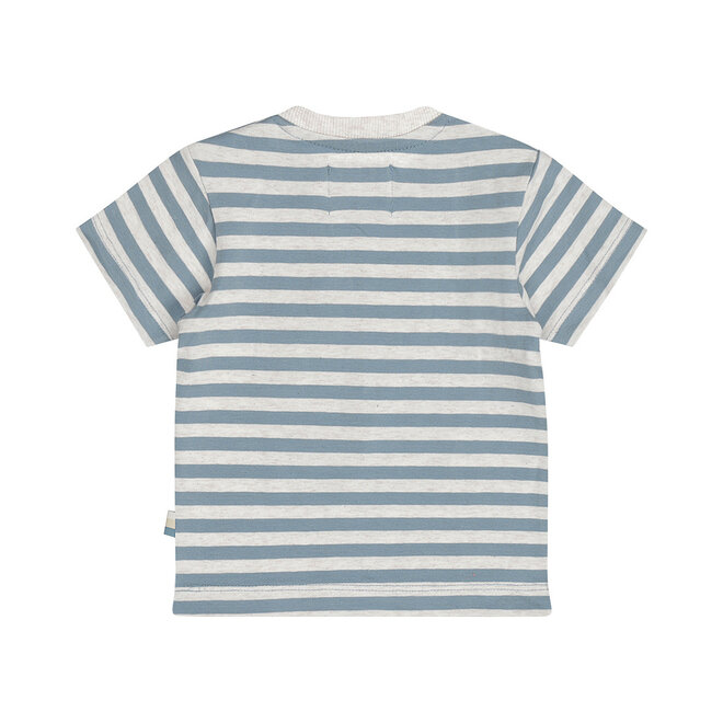 Dirkje jongens T-shirt blauw off white gestreept dieren