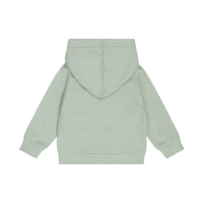 Dirkje boys' cardigan soft green hood