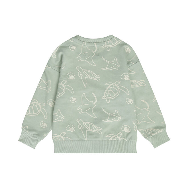 Dirkje jongens sweater zachtgroen turtle