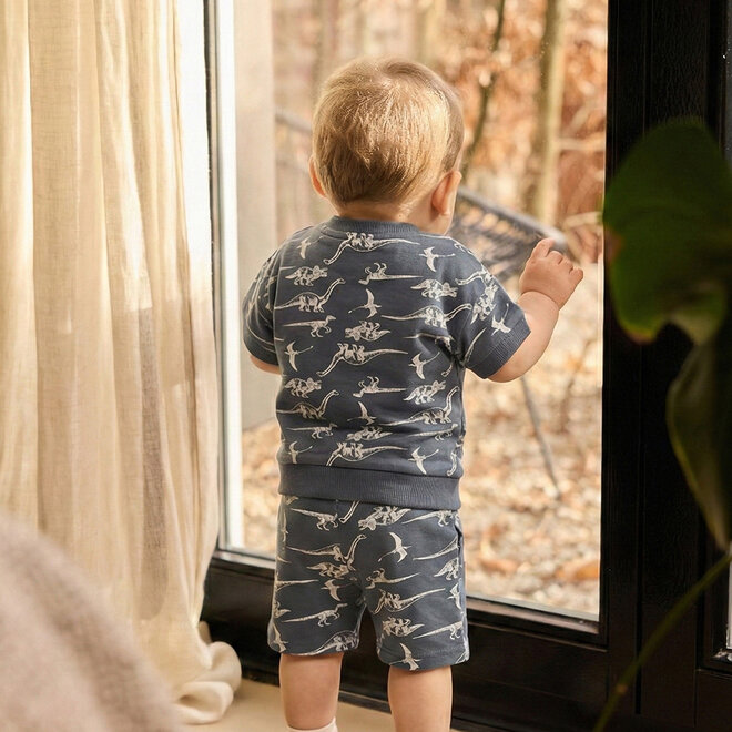 Dirkje Jungen Co-ord Set stahlblau Dino T-Shirt Shorts